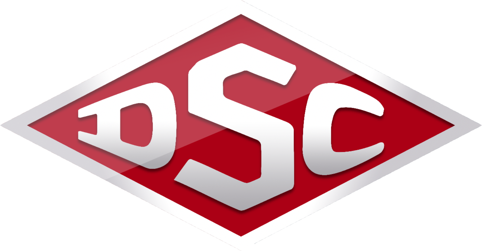 Dsc_logo_3d