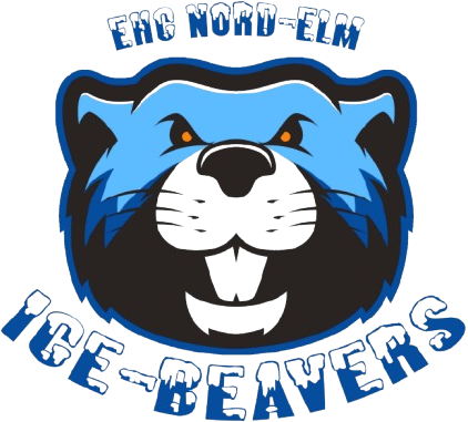 Icebeavers